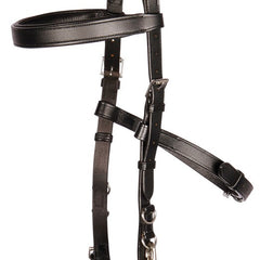 Collection image for: Werk aan de hand en longeren