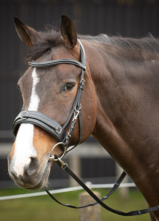 Harry's Horse Kaptoom hoofdstel leder Comfort