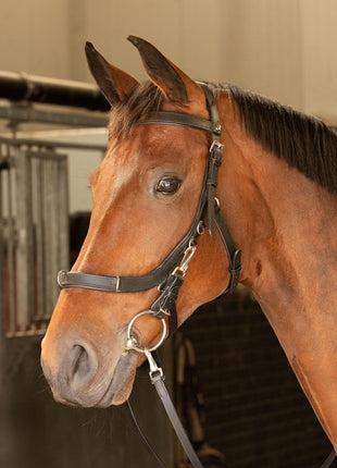 Harry's Horse Kaptoom hoofdstel leder Anatomic