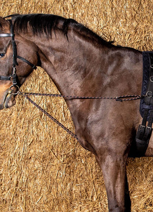 Harry's Horse Longekoord V-line (paar)