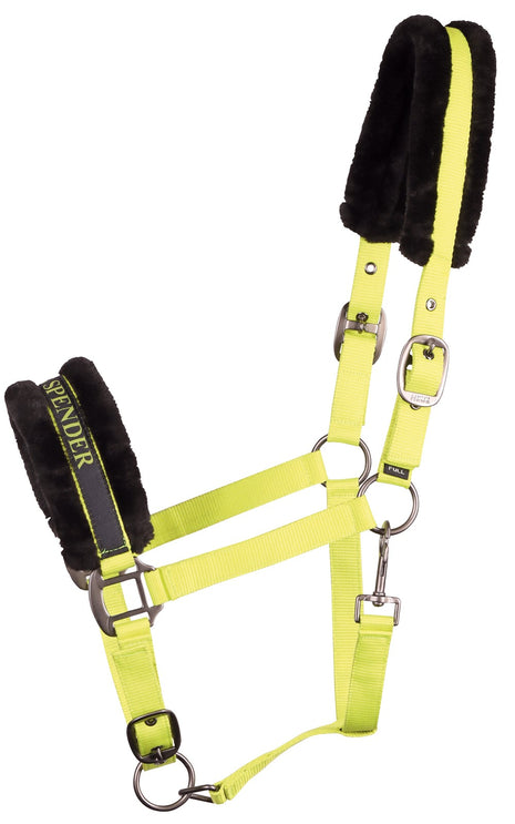 Halster Lyrics Quotes