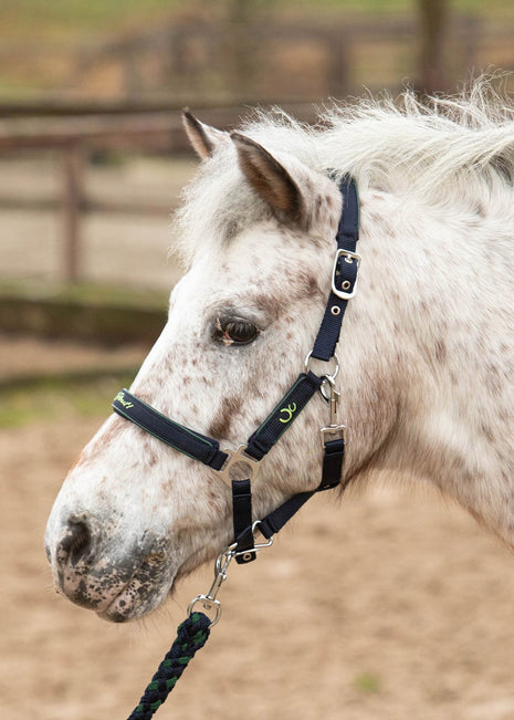 Halsterset STOUT! Lime