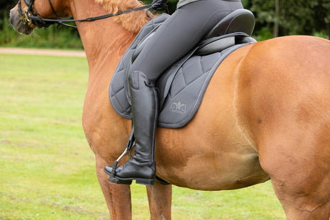 Zadeldek Denici cavalli