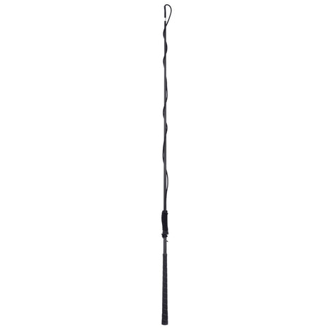 Harry's Horse Longeerzweep carbon telescoop