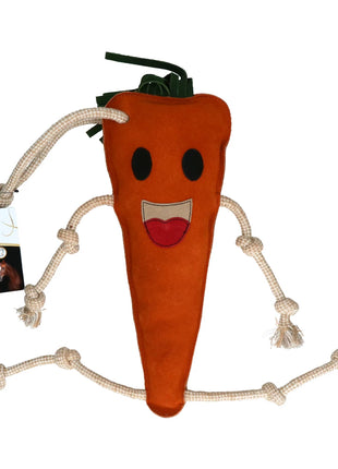 Foodie Friend Carrot