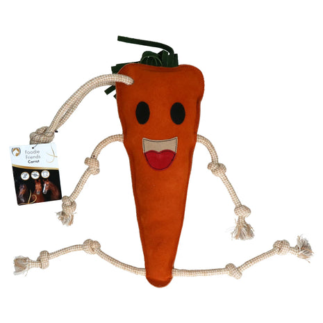 Foodie Friend Carrot
