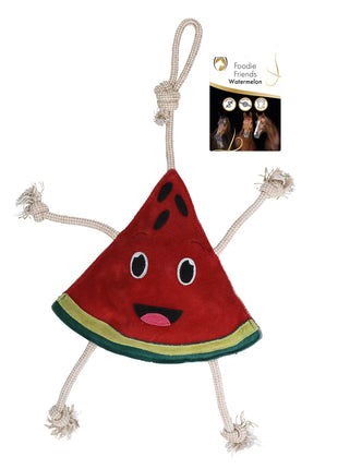 Foodie Friend Watermelon