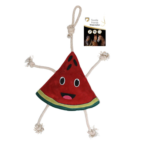 Foodie Friend Watermelon