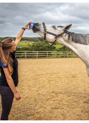 Horslyx Mini Original